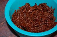 Date Squares or Easy Maamoul Mad with Date - Step 3