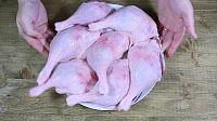 Easy Roasted Duck with Cabbage - Step 1