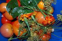 Moldavian Natural Fermented Pickled Tomatoes - Step 3