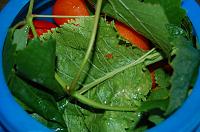 Moldavian Natural Fermented Pickled Tomatoes - Step 5