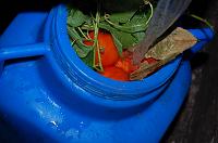 Moldavian Natural Fermented Pickled Tomatoes - Step 7
