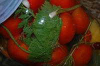 Moldavian Natural Fermented Pickled Tomatoes - Step 8