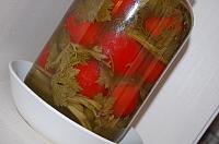 Quick Fermented Tomatoes - Step 9