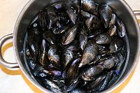 Easy French Mussels Provencal Recipe - Step 2
