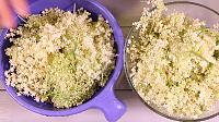 Homemade Elderflower Syrup - Step 1