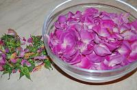 Homemade Rose Syrup - Step 2