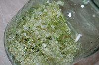 Wild Fermented Elderflower Soda - Step 2