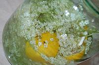 Wild Fermented Elderflower Soda - Step 4