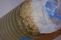 Wild Fermented Elderflower Soda - Step 6
