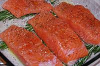 Baked Salmon in Parsley Crust - Step 6