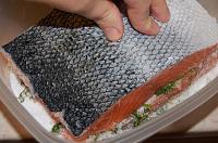 Easy Salmon Gravlax - Step 8