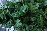 Authentic Spanakopita: Traditional Greek Spinach and Feta Pie - Step 8