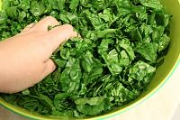 Authentic Spanakopita: Traditional Greek Spinach and Feta Pie - Step 9