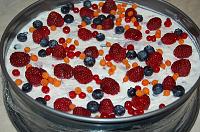 No-Bake Fruit Jello Cake - Step 12