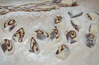 Soft Glazed Cookies - Pryaniki - Step 10