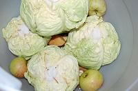 Fermented Whole Cabbage Heads - Step 5