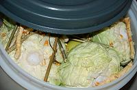 Fermented Whole Cabbage Heads - Step 6