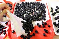 How to Freeze Berries - Step 5