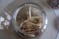 Natural Fermented Pickled Cucumbers - Step 2