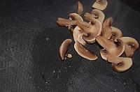 Vegan Mushroom Sauce - Step 3