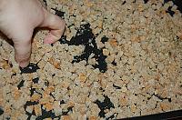 Homemade Croutons - Step 3