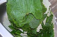 Freezing Grape Leaves - Step 1