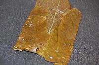 Freezing Grape Leaves - Step 7