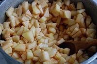 Apples Yeast Pies - Step 1