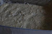 Greek Cheese Pie (Tiropita) - Step 5