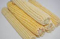 Oven-Baked Corn on the Cob - Step 1
