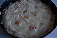 Easy Apricot and Peach Cake - Step 9