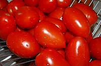 Oven "Sun-Dried" Tomatoes in Olive Oil - Step 1