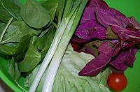 Spring Salad with Special Dressing - Step 1