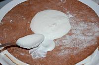 Day and Night Cake - Step 14