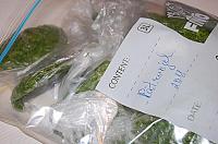 How to Freeze Herbs and Aromatics - Step 7