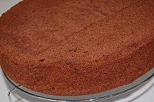 Fluffy Chocolate Sponge Cake