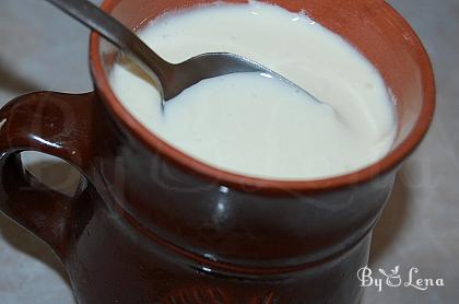 Homemade Natural Fermented Yoghurt