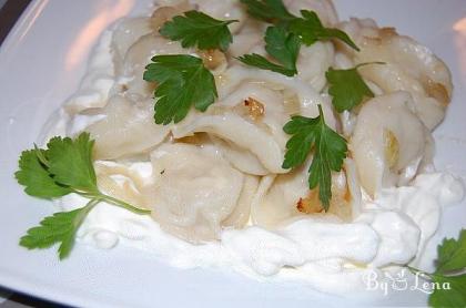 Russian Dumpling with Meat - Pelmeni