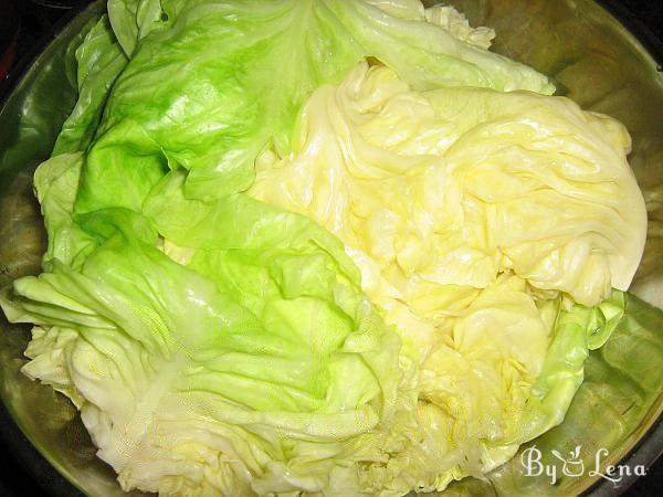 Creamy Ucrainian Cabbage Rolls - Step 2