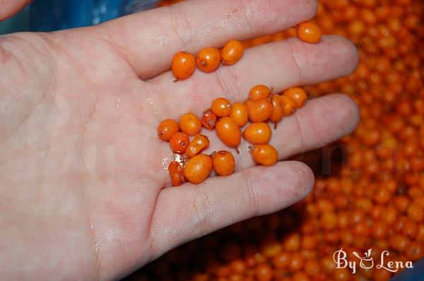 Sea Buckthorn in Honey - Step 1