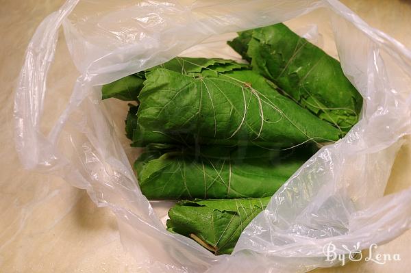 How to Freeze Fresh Grape Leaves - Step 1