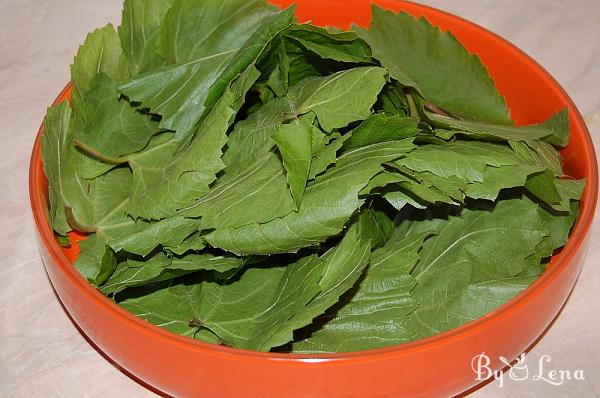 How to Freeze Fresh Grape Leaves - Step 2