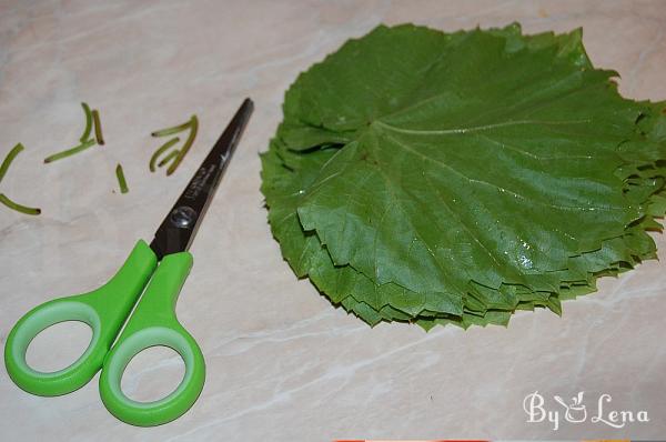 How to Freeze Fresh Grape Leaves - Step 3