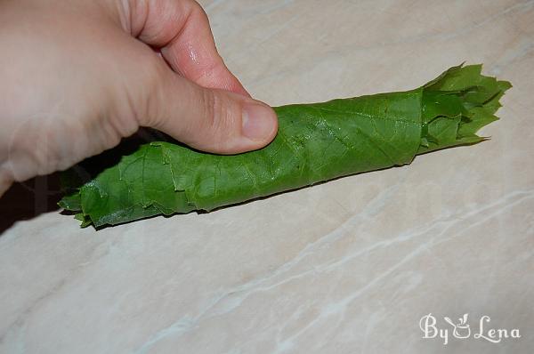 How to Freeze Fresh Grape Leaves - Step 4