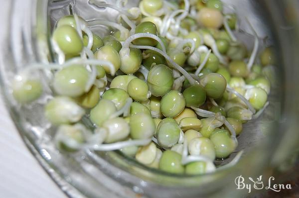 How to Grow Sprouts in a Jar - Step 15