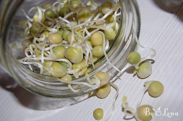 How to Grow Sprouts in a Jar - Step 17