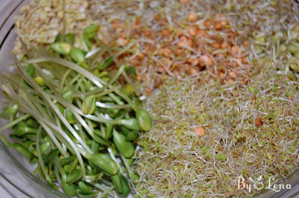 How to Grow Sprouts in a Jar - Step 23