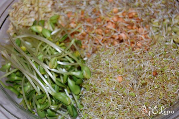 How to Grow Sprouts in a Jar - Step 24