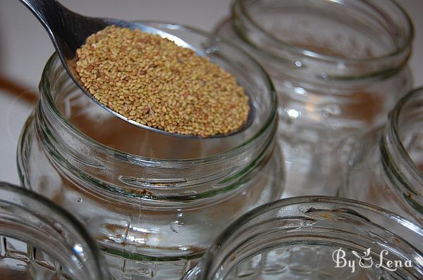 How to Grow Sprouts in a Jar - Step 3