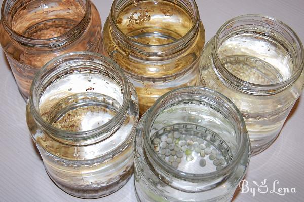 How to Grow Sprouts in a Jar - Step 4